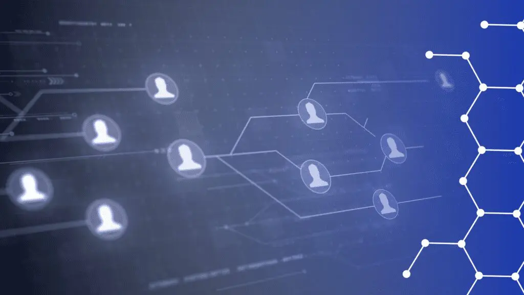 Blue and white networking spider web