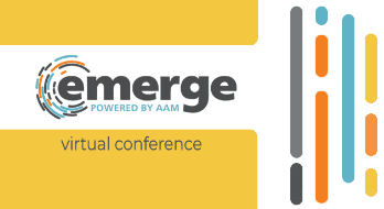 Introhive | aam emerge 3 | AAM Emerge
