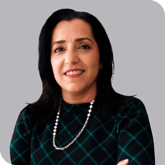 Introhive | Leyla Samiee | About Introhive